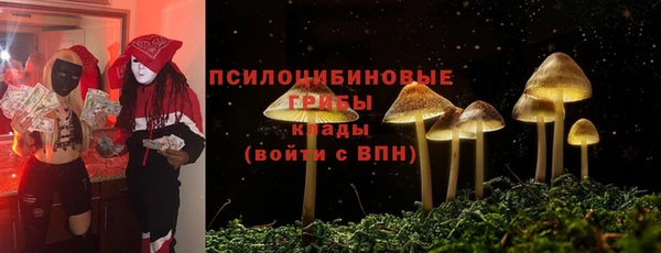 стаф Иннополис