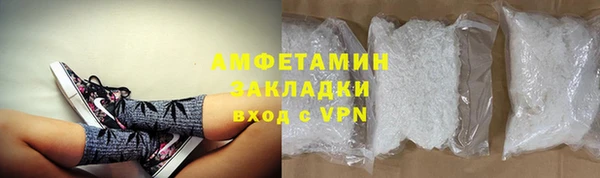 ГАЛЛЮЦИНОГЕННЫЕ ГРИБЫ Инсар