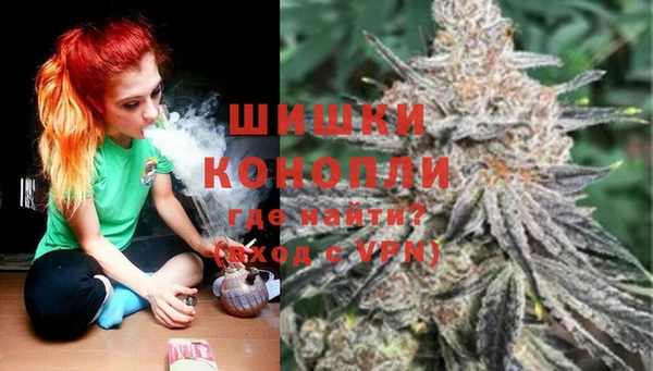 стаф Иннополис