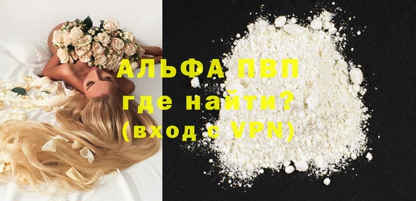 ГАЛЛЮЦИНОГЕННЫЕ ГРИБЫ Инсар
