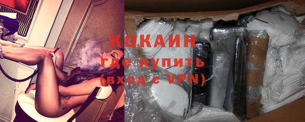 ГАЛЛЮЦИНОГЕННЫЕ ГРИБЫ Инсар