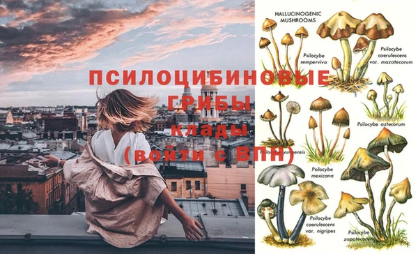 марки nbome Зерноград