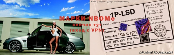 ГАЛЛЮЦИНОГЕННЫЕ ГРИБЫ Инсар